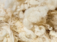 Hier finden Sie Dämmstoffe aus Schafwolle in verschiedenen  Aufbereitungsformen
